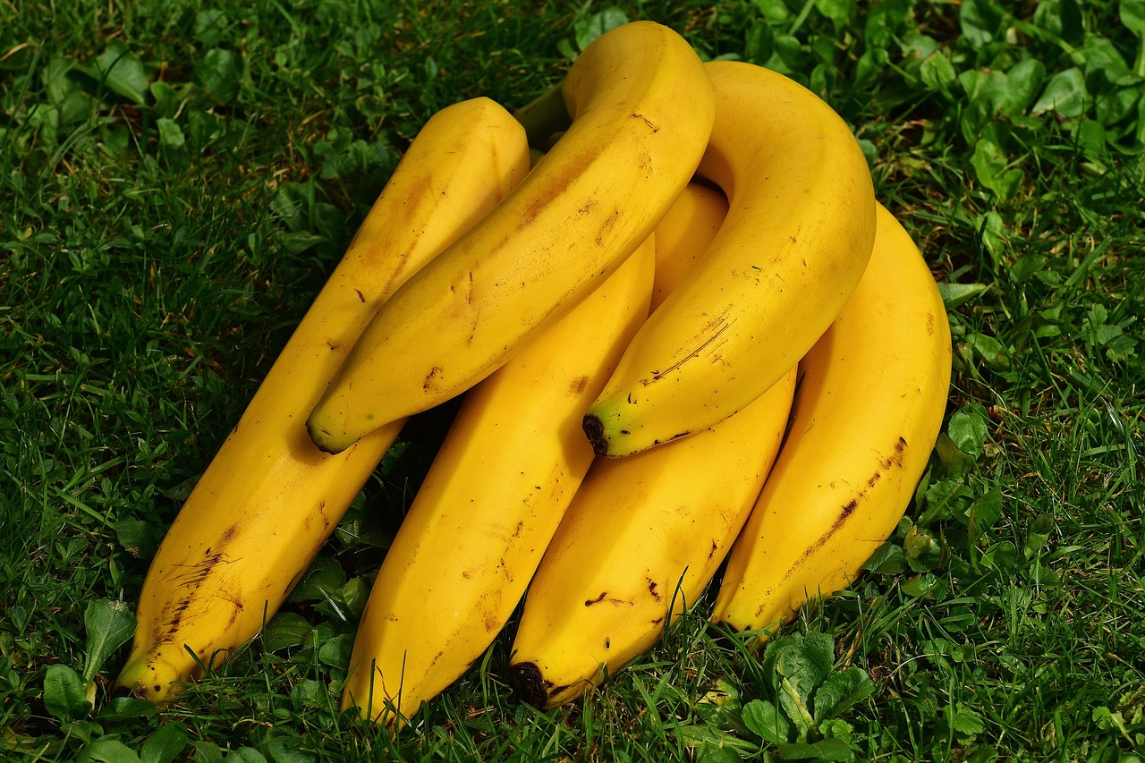 Bananas - Fresh from the Farm