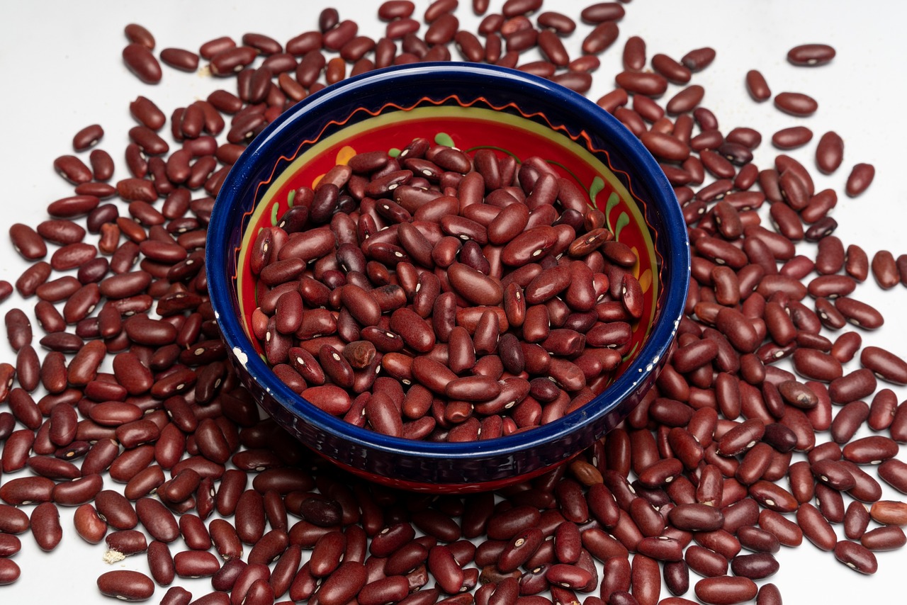 Quality Kidney Beans