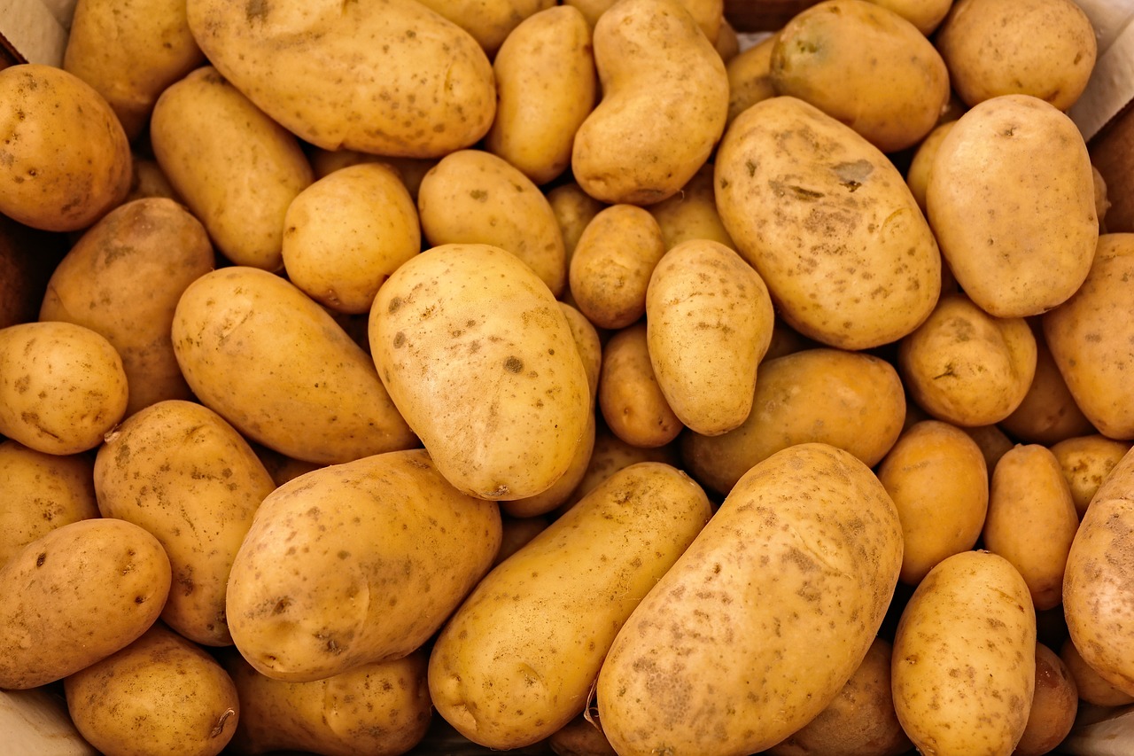 Potatoes - Fresh from the Farm