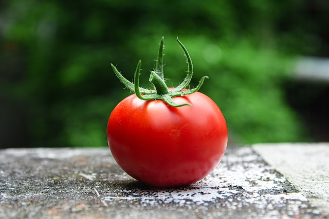 Organic Fresh Tomato